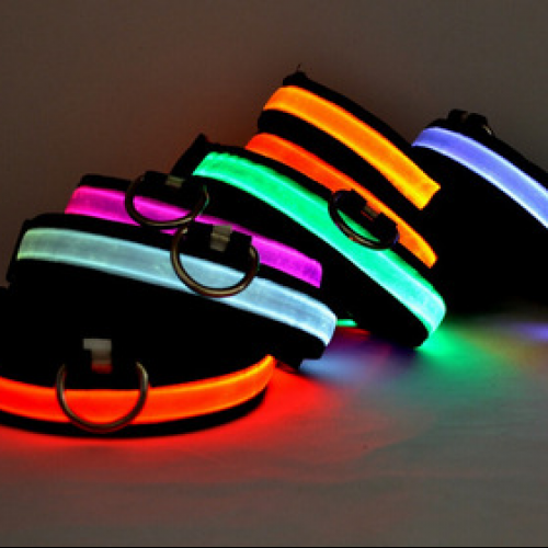 Luminous Fluorescent Pet Collar