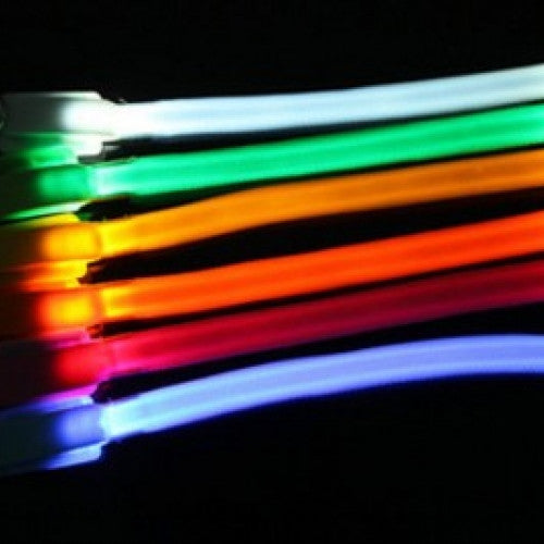 Led Nylon Light-up Flashing Leash