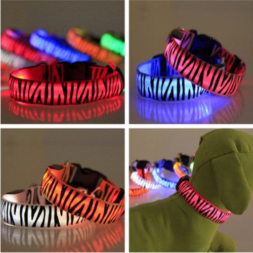 Lighted up Zebra Nylon LED Collar