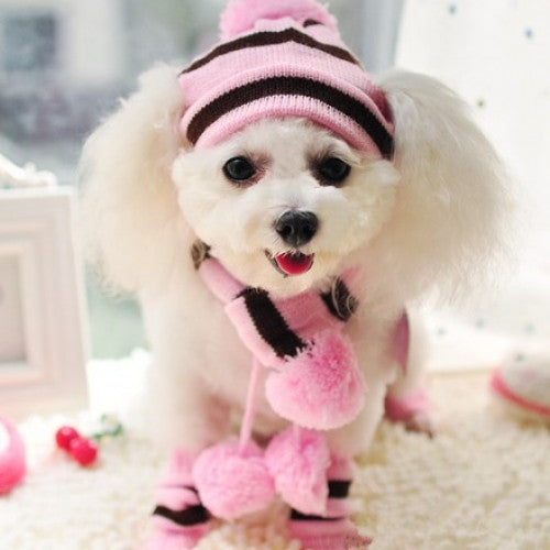 Scarf and Socks Winter Pet  Accessories