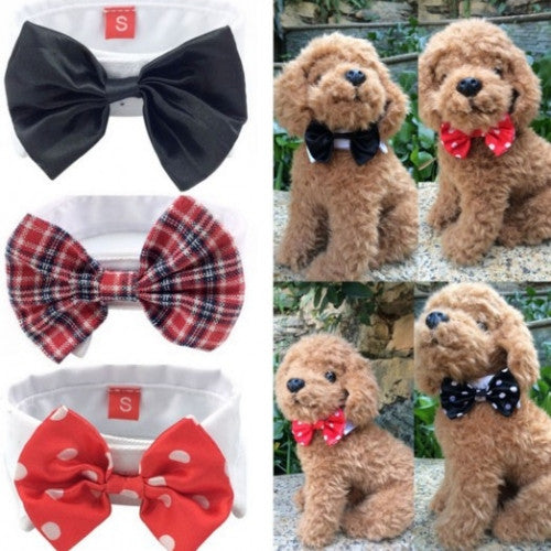 Lovely Pet Bow Tie Collar Clothes