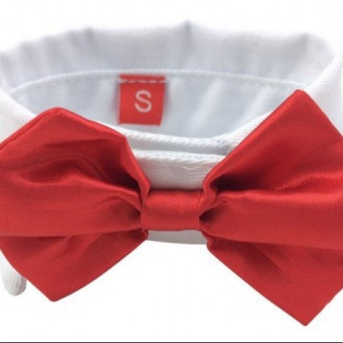 Lovely Pet Bow Tie Collar Clothes