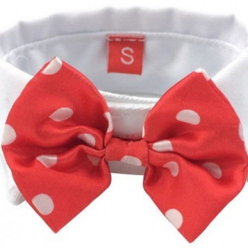 Lovely Pet Bow Tie Collar Clothes