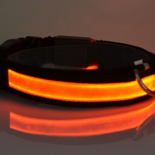 Luminous Fluorescent Pet Collar