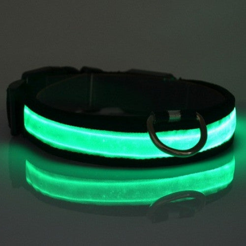 Luminous Fluorescent Pet Collar