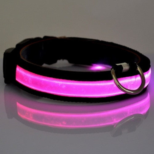 Luminous Fluorescent Pet Collar