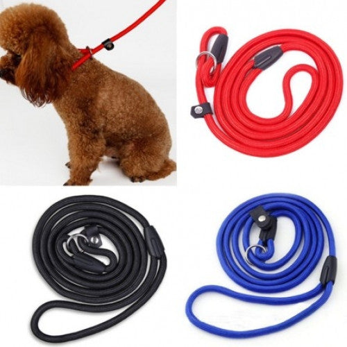 Training Leash Traction Pet Collar