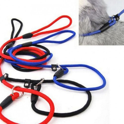 Training Leash Traction Pet Collar