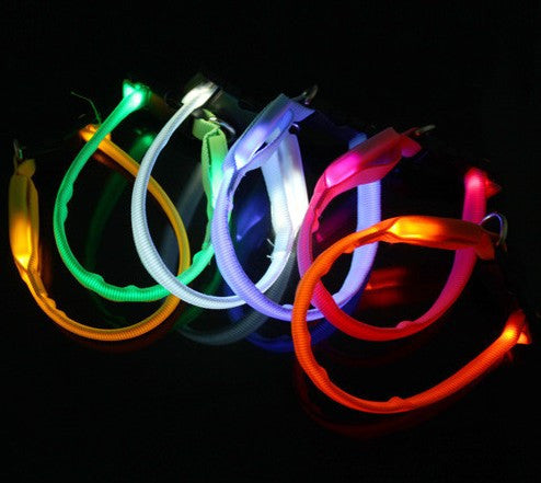Led Nylon Light-up Flashing Leash