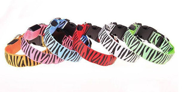 Lighted up Zebra Nylon LED Collar
