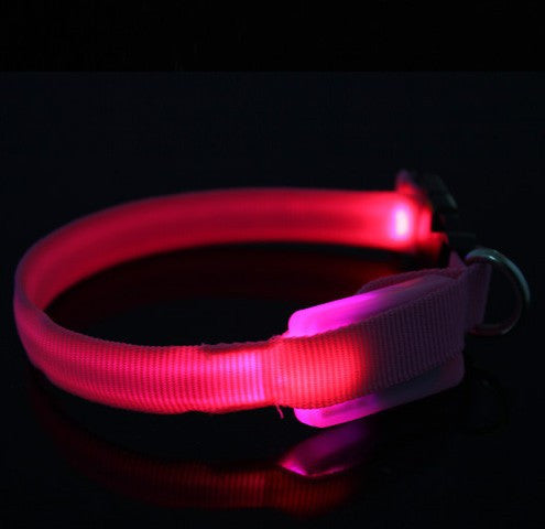 Led Nylon Light-up Flashing Leash