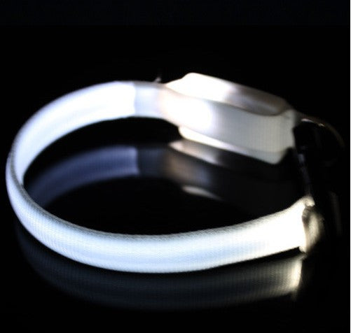 Led Nylon Light-up Flashing Leash