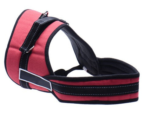 Pulling Training Chest Harness Large Dog